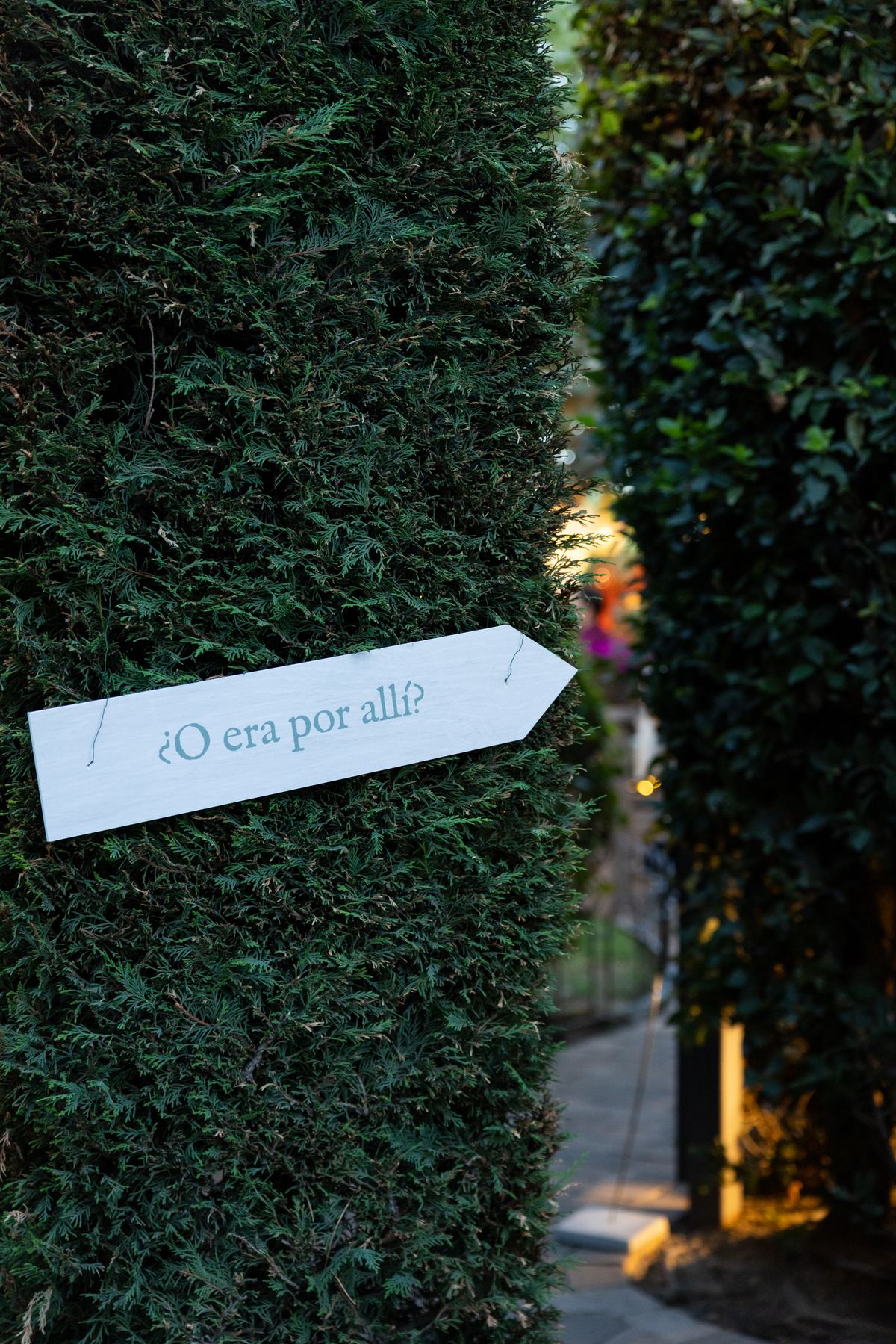 Sign reading “Or was it that way?” among hedges