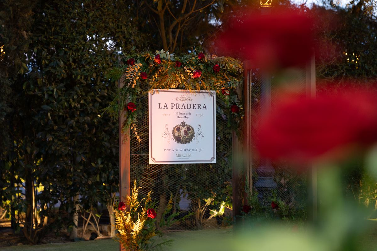 Sign for The Meadow among red roses