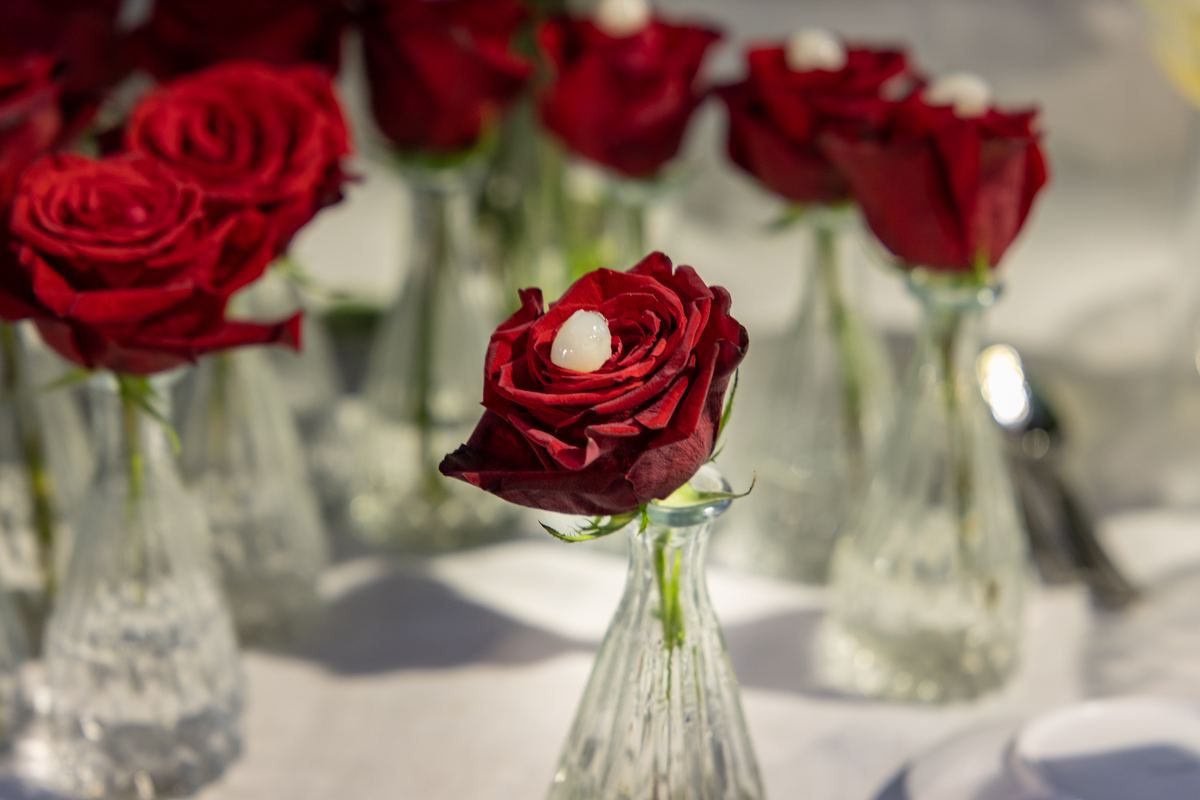 Red roses in glass vases