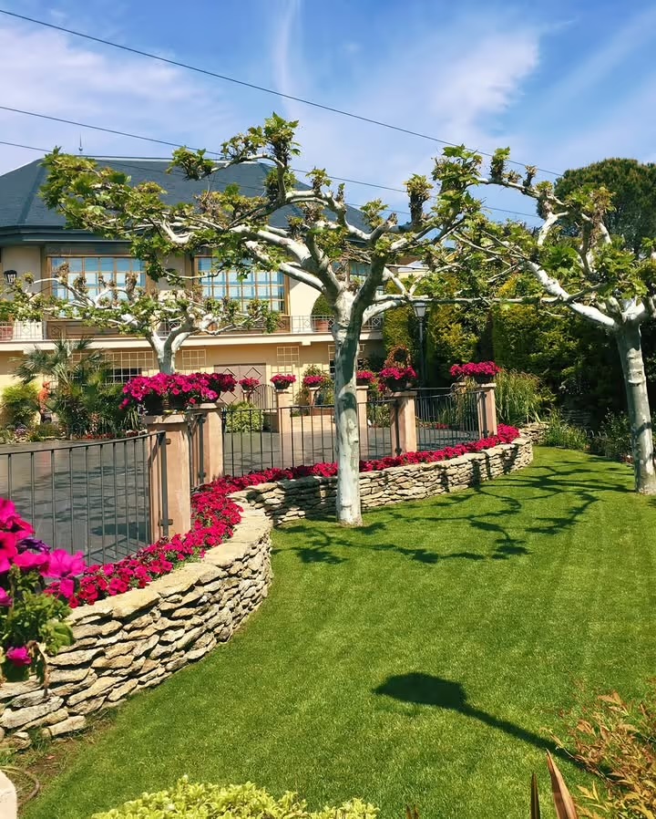 Jardines con geranios y árboles podados