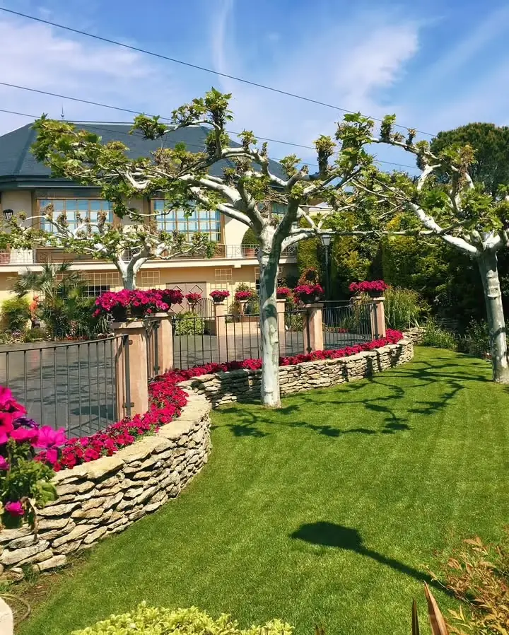 Jardines con geranios y árboles podados