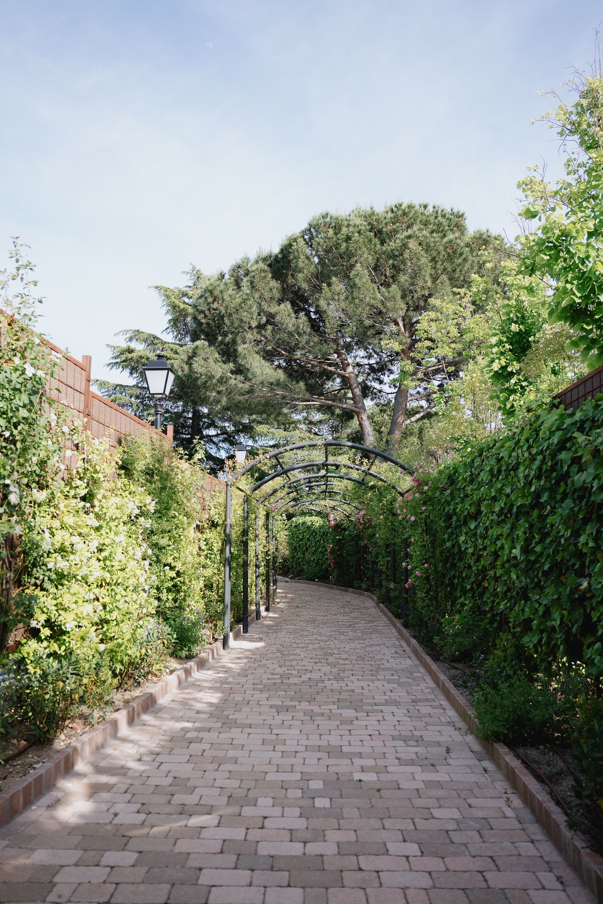 The Meadow · connection with the gardens